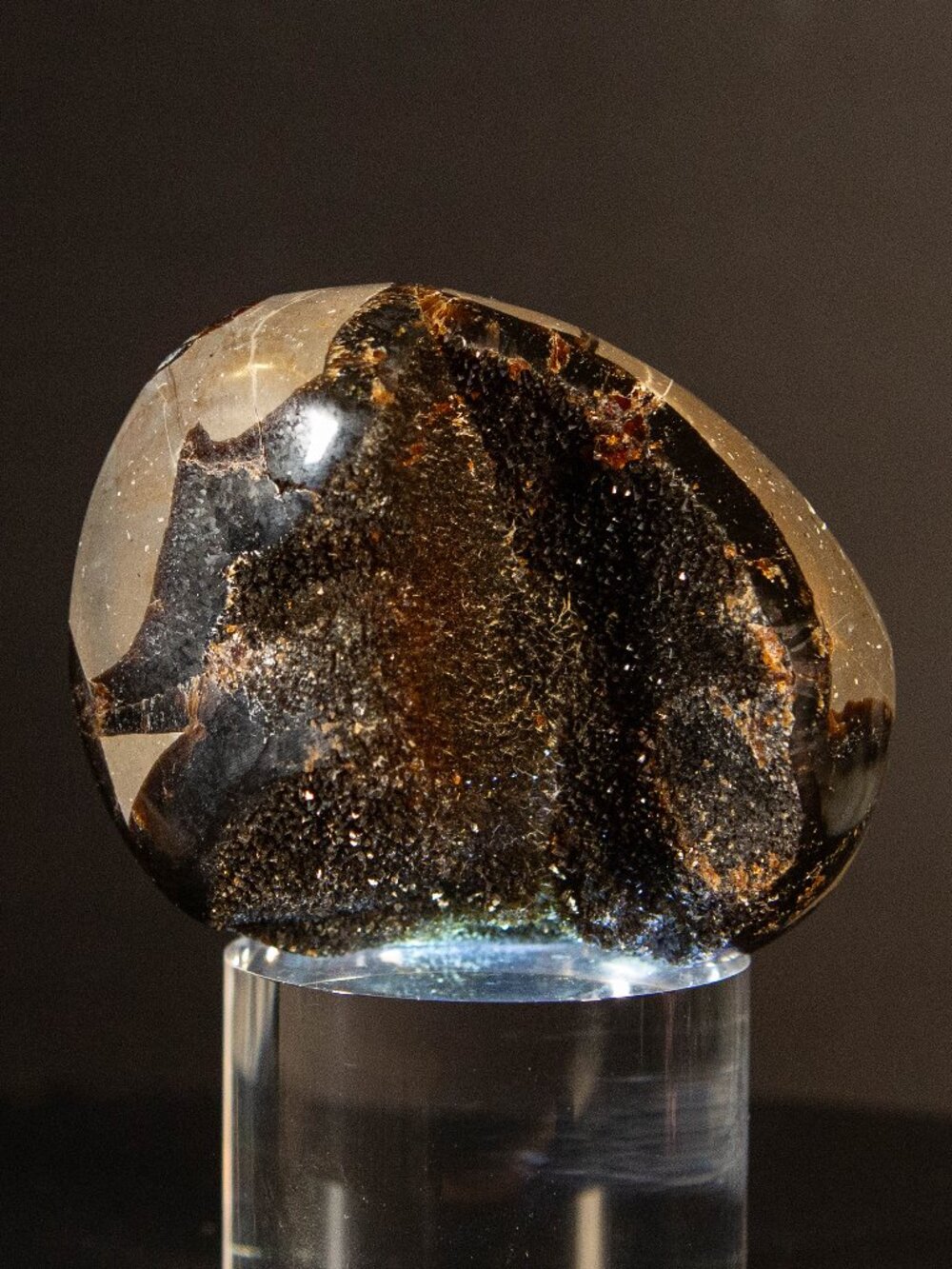 Black Septarian Nodule Dragon Egg Geode Crystal Cluster Specimen
